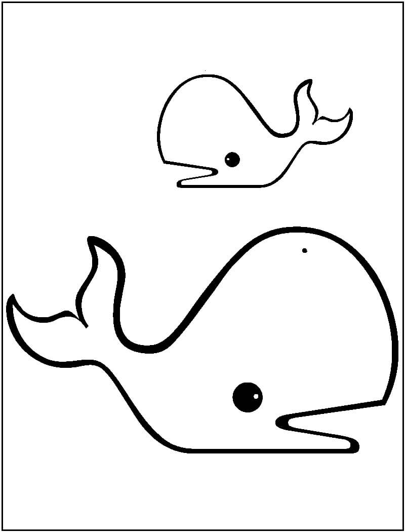 Dibujo de Dibujar Dos Ballenas para Colorear