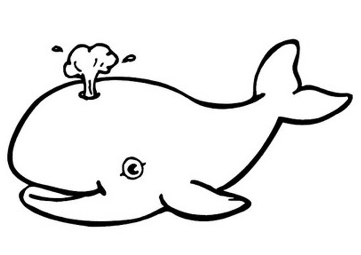Dibujo de Ballena para Colorear