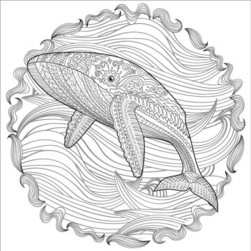 Dibujo de La Ballena Es para Adultos para Colorear