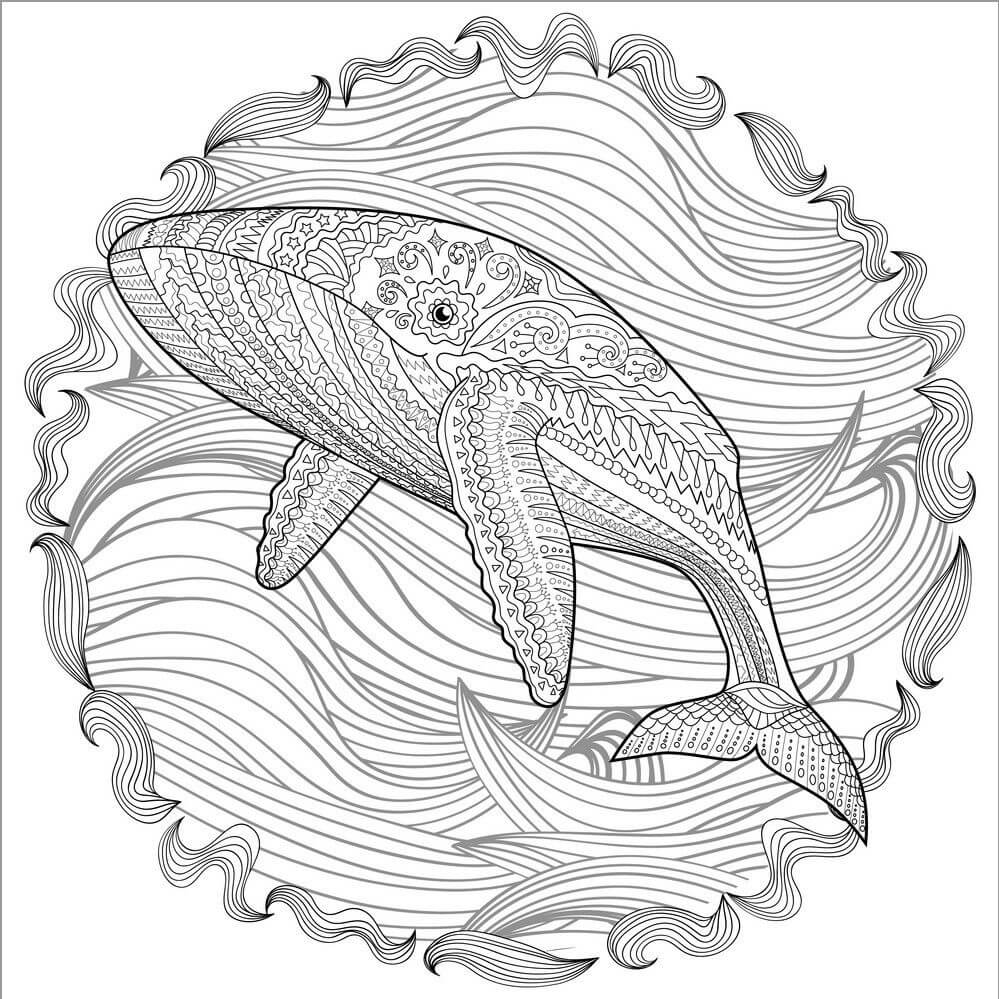 Dibujo de La Ballena Es para Adultos para Colorear