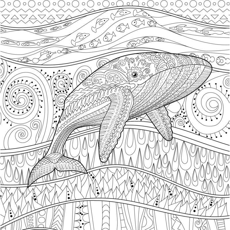 Dibujo de Mandala de Ballenas para Colorear