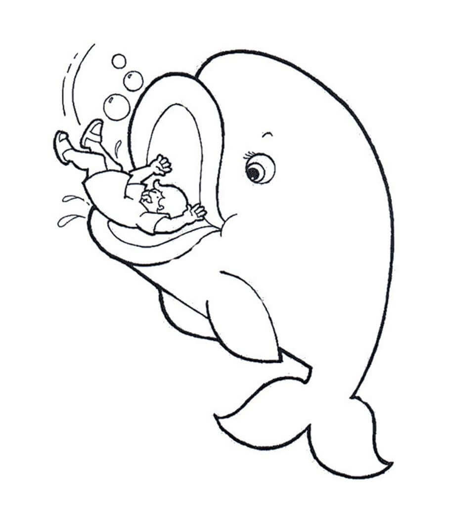 Dibujo de Niña en Boca de Ballena para Colorear