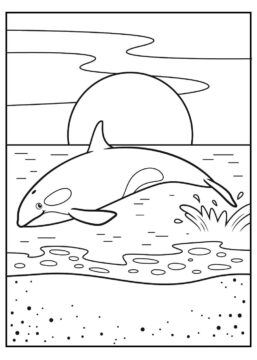 Dibujo de Salto de Ballena Asesina para Colorear
