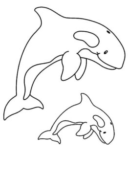 Dibujo de Salto de Dos Ballenas para Colorear
