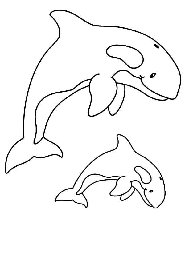 Dibujo de Salto de Dos Ballenas para Colorear