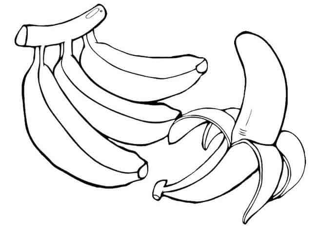 Dibujo de Cacho de Bananas e Uma Banana Descascada para Colorear