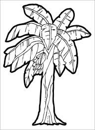 Dibujo de Árbol de Platano para Colorear