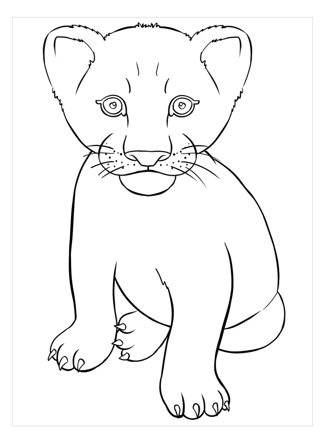 Dibujo de Bebé león para Colorear