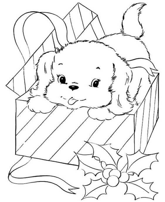 Dibujo de Perro bebé en Caja de Regalo para Colorear