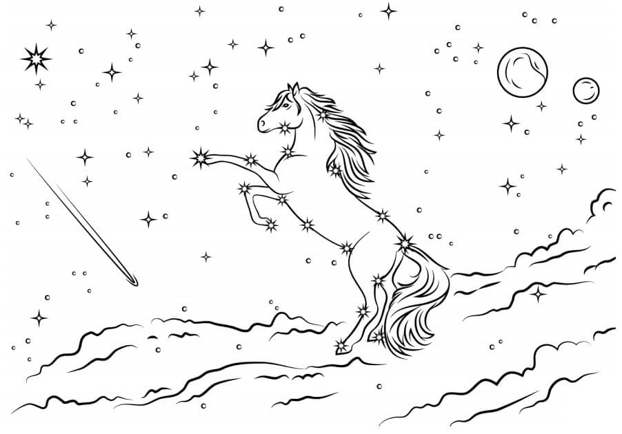 Dibujo de Bella en la Noche para Colorear