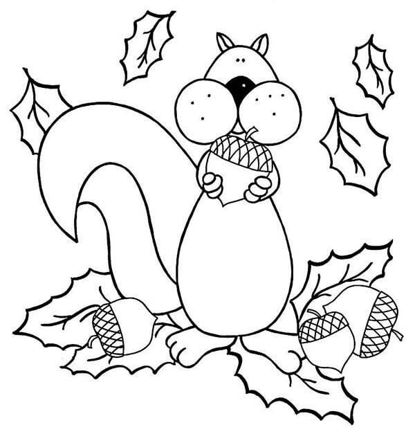Dibujo de Ardilla Comiendo Bellota para Colorear