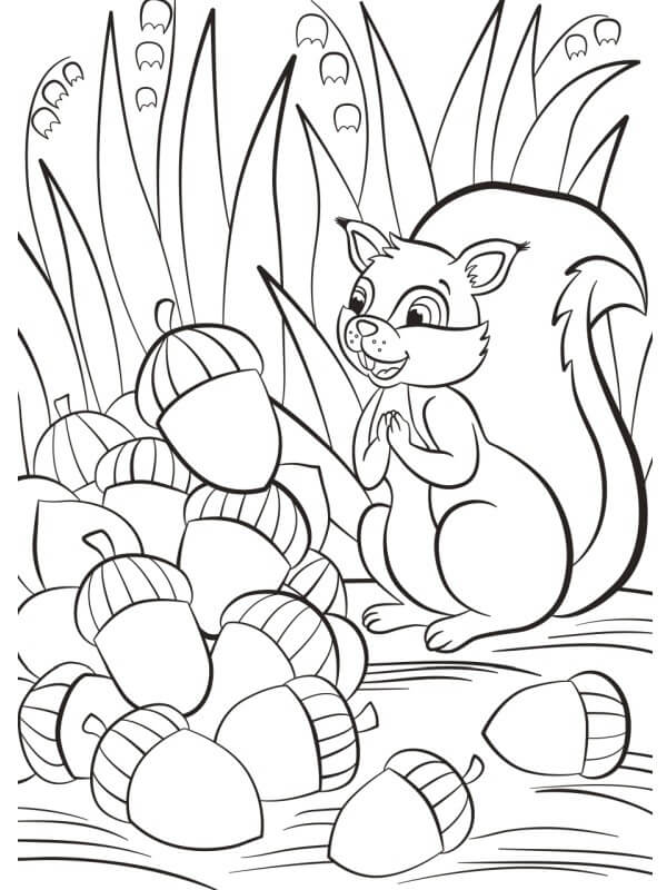 Dibujo de Ardilla Feliz con Bellota para Colorear