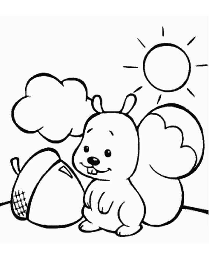 Dibujo de Ardilla y Bellota para Colorear