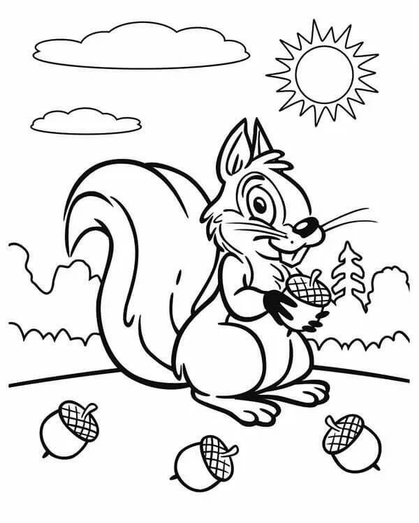 Dibujo de Ardilla y Bellotas para Colorear