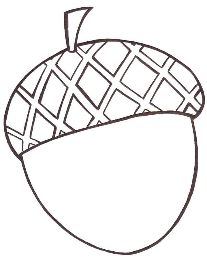 Dibujo de Bellota Bsica para Colorear