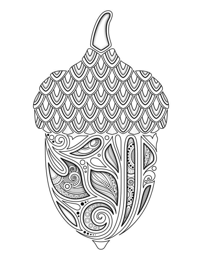 Dibujo de Bellota Dura para Colorear