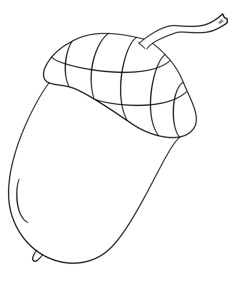 Dibujo de Bellota Fcil para Colorear
