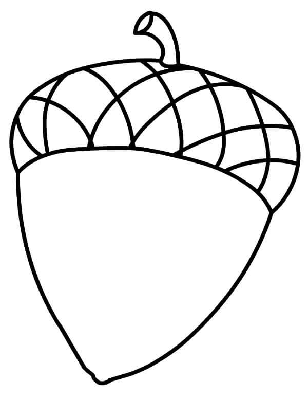 Dibujo de Bellota Hermosa para Colorear