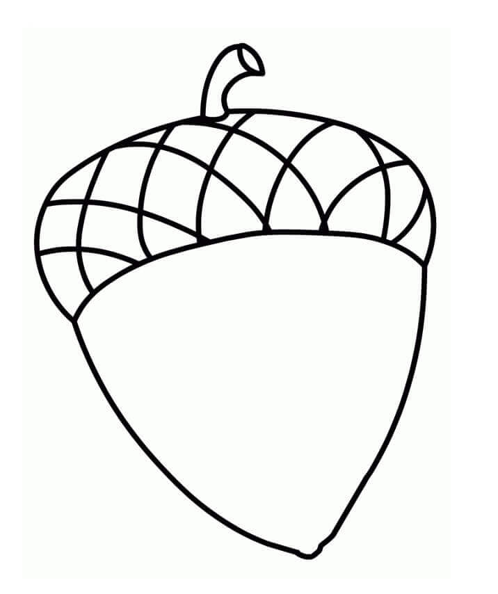 Dibujo de Bellota Pequea para Colorear