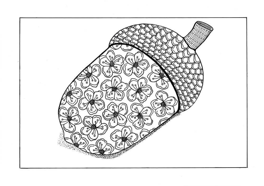 Dibujo de Bellota de Otoo Adulto para Colorear