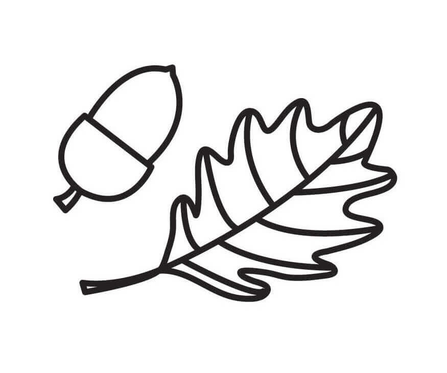Dibujo de Bellota y Hoja Simple para Colorear
