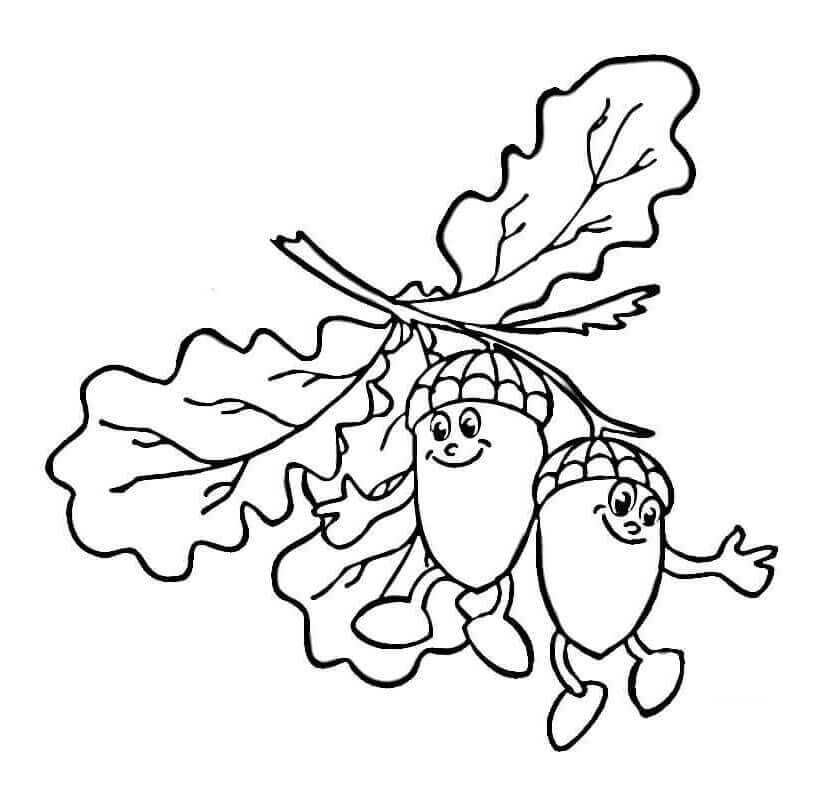 Dibujo de Bellotas de Dibujos Animados para Colorear
