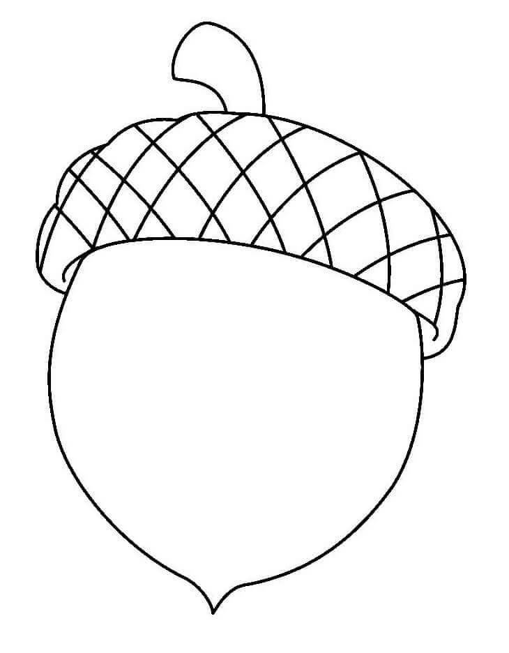 Dibujo de Bonita Bellota para Colorear