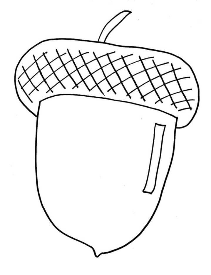 Dibujo de Bellota para Colorear