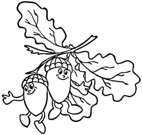 Dibujo de Dos Bellota Sonriendo para Colorear