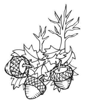 Dibujo de Hojas y Bellotas para Colorear