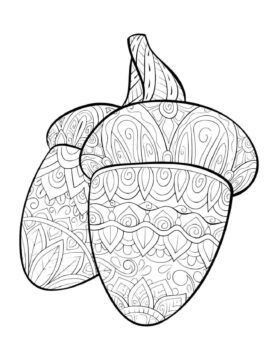 Dibujo de Mandala de Bellota para Colorear