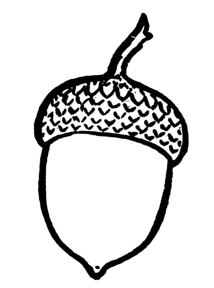 Dibujo de Sonrisas de Bellota para Colorear
