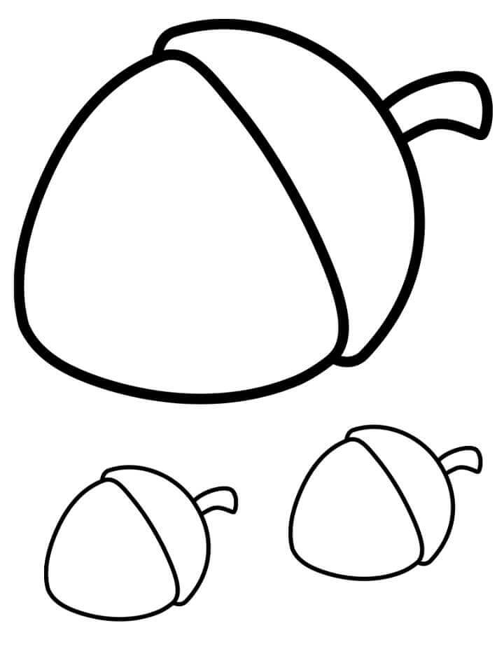 Dibujo de Tres Bellotas para Colorear