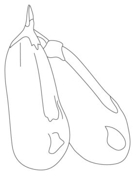 Dibujo de Dos Berenjenas Normales para Colorear
