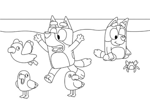 Dibujo de Bluey en la Playa para Colorear
