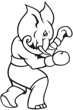 Dibujo de Elefante de Boxeo para Colorear