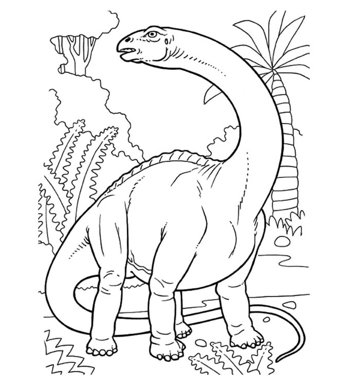 Dibujo de Brontosaurio en la Jungla para Colorear