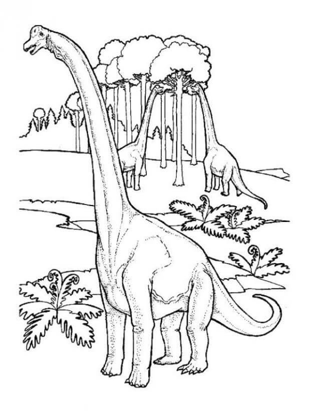 Dibujo de Tres Brontosaurios para Colorear