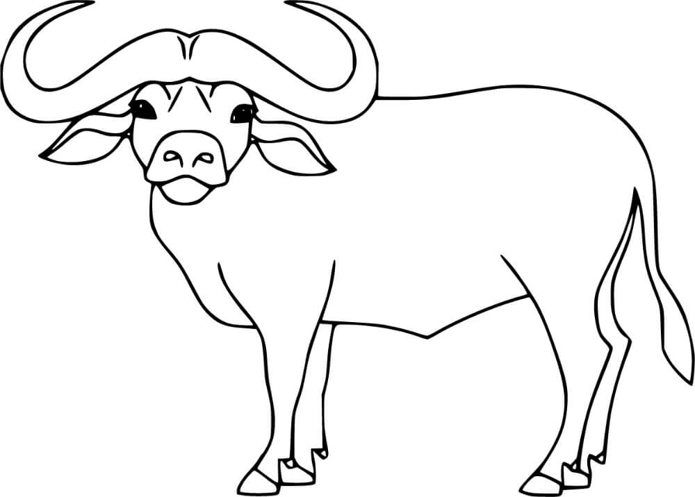 Dibujo de Bufalo Adorable para Colorear