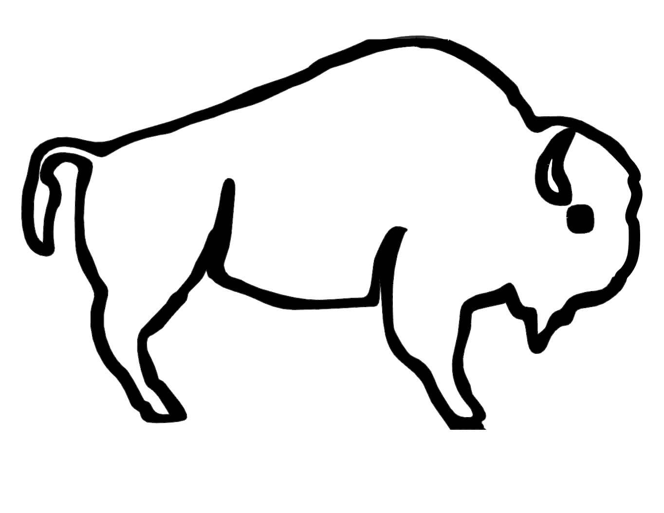 Dibujo de Bufalo Americano fácil para Colorear