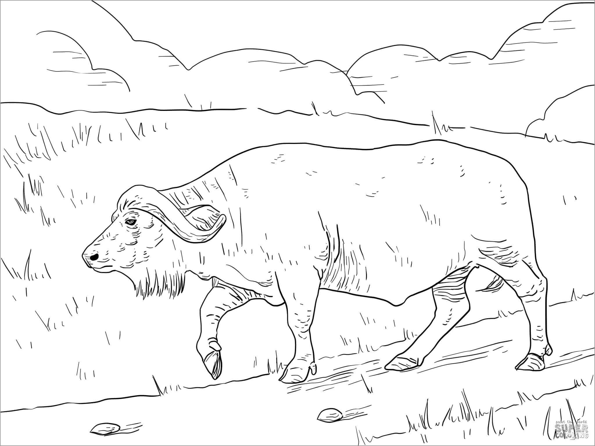 Dibujo de Bufalo Caminando para Colorear