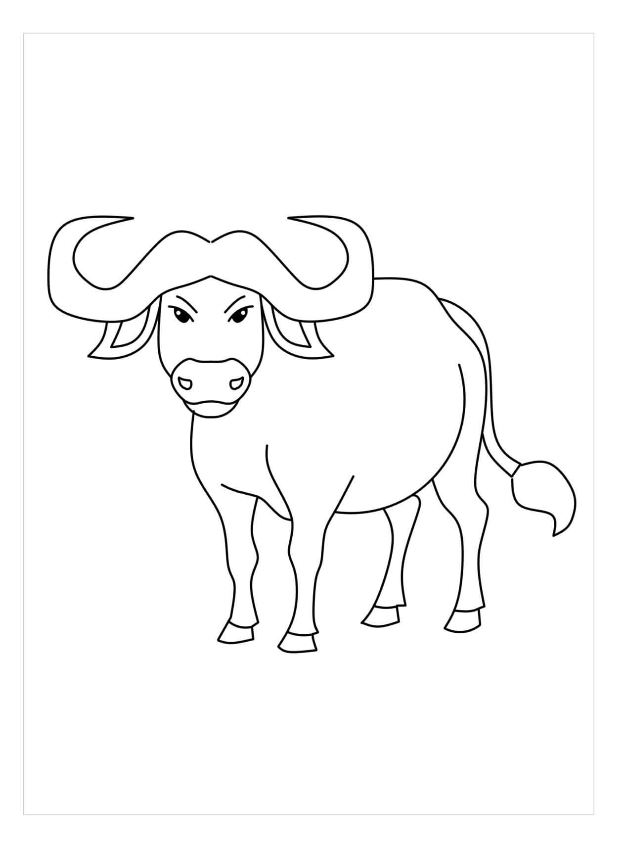 Dibujo de Bufalo Perfecto para Colorear