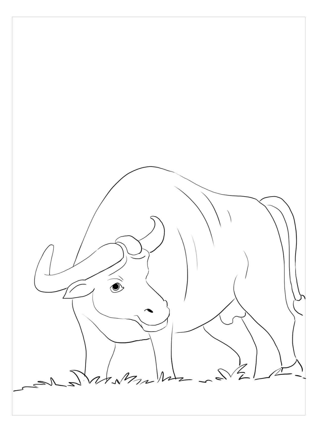 Dibujo de Bufalo con Hierba para Colorear