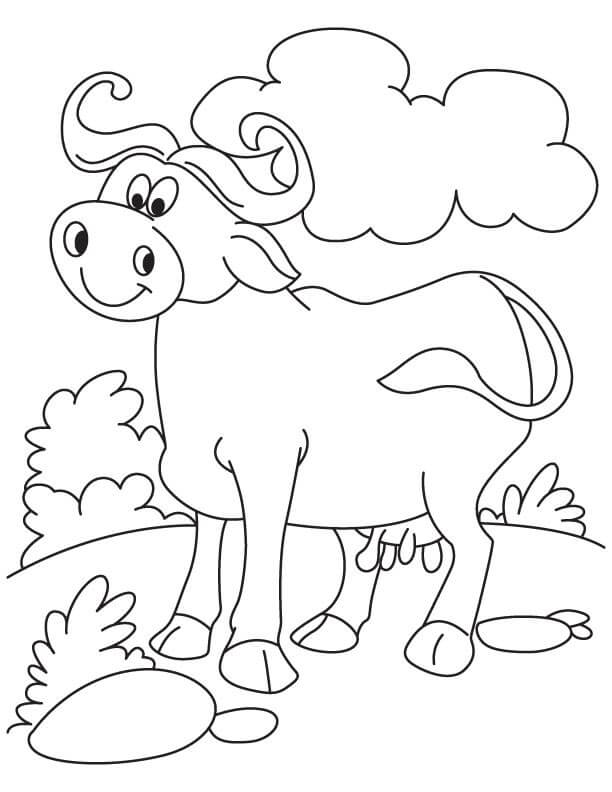 Dibujo de Bufalo con Roca para Colorear
