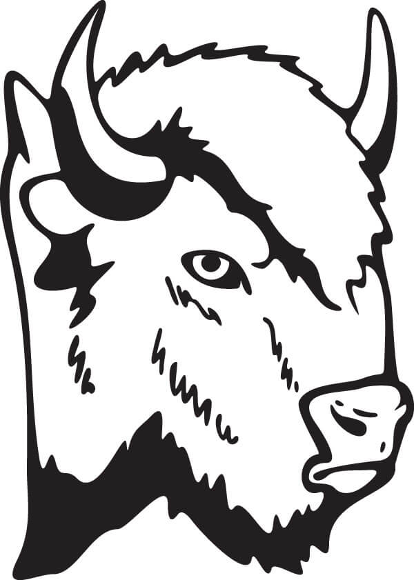 Dibujo de Cabeza de Bufalo para Colorear