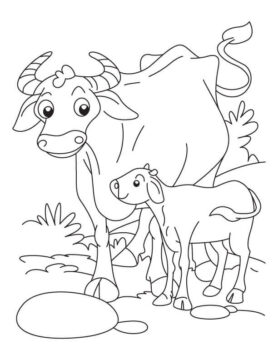 Dibujo de Madre Bufalo y bebé Bufalo para Colorear