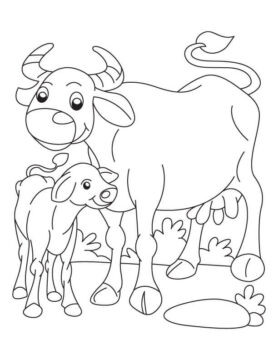 Dibujo de Mamá Bufalo con bebé Bufalo para Colorear