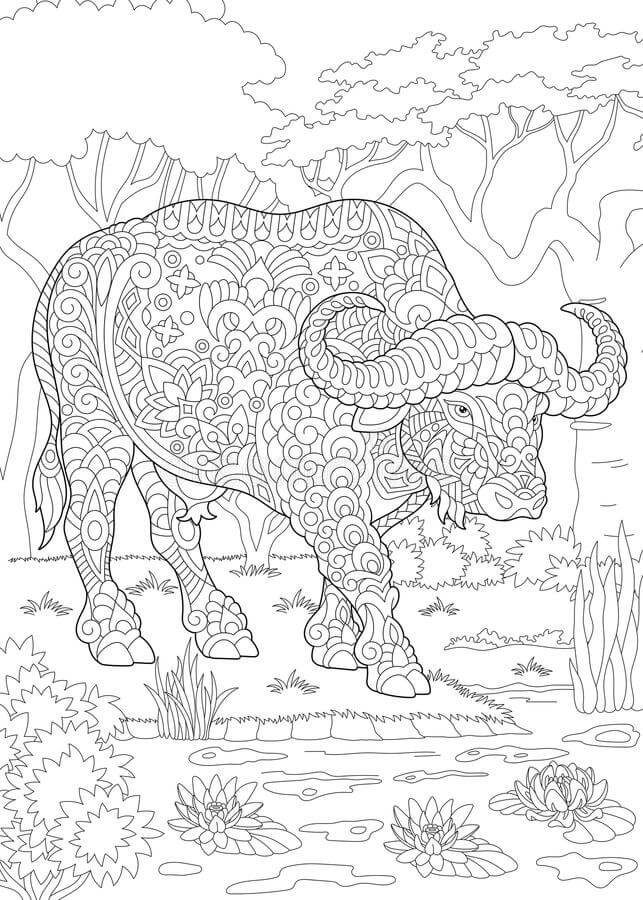 Dibujo de Mandala de Bufalo para Colorear