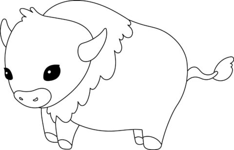 Dibujo de Pequeño Bufalo para Colorear