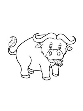 Dibujo de Pequeño Bufalo Comiendo Hierba para Colorear